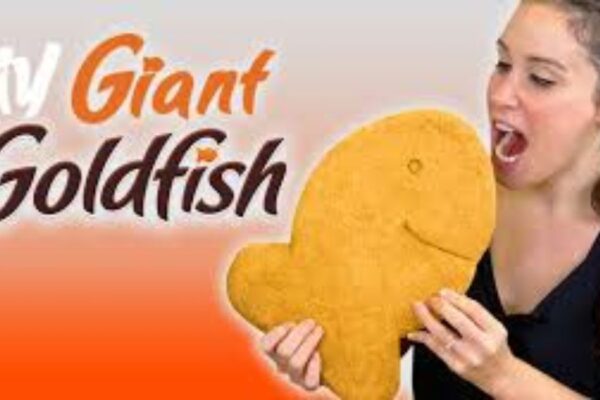 giant goldfish crackers
