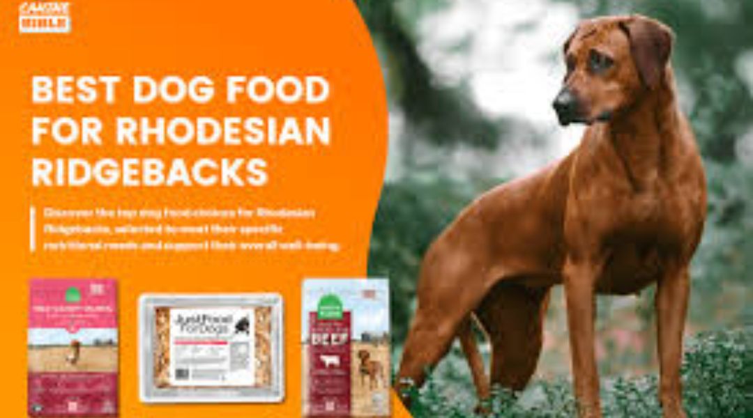 rhodesian ridgeback food
